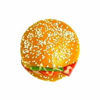 اسکویشی همبرگر