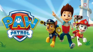 قصه سگ های نگهبان قهرمانان شجاع (paw patrol)