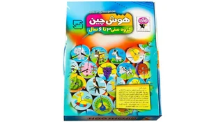 بازی فکری هوش چين 3تکه فانتزی